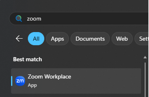 zoom 1.png